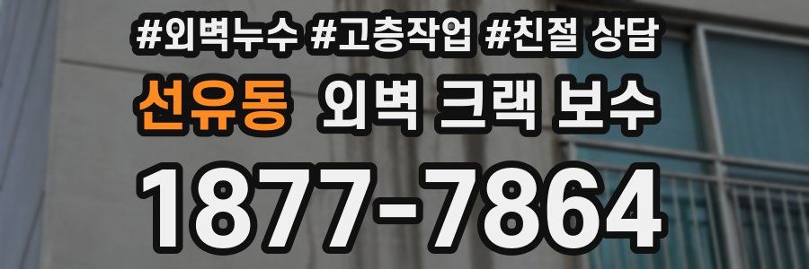 선유동 외벽 크랙 보수