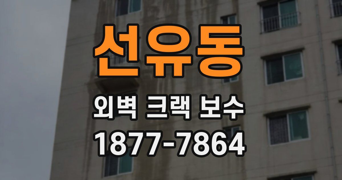 선유동 외벽 크랙 보수