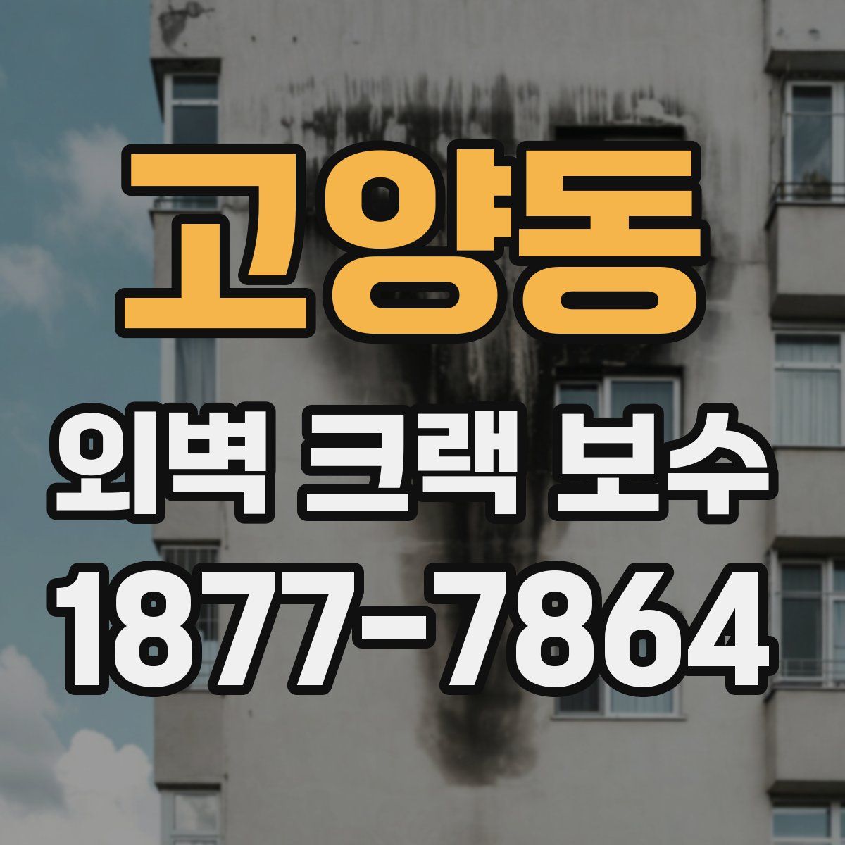 고양동 외벽 크랙 보수