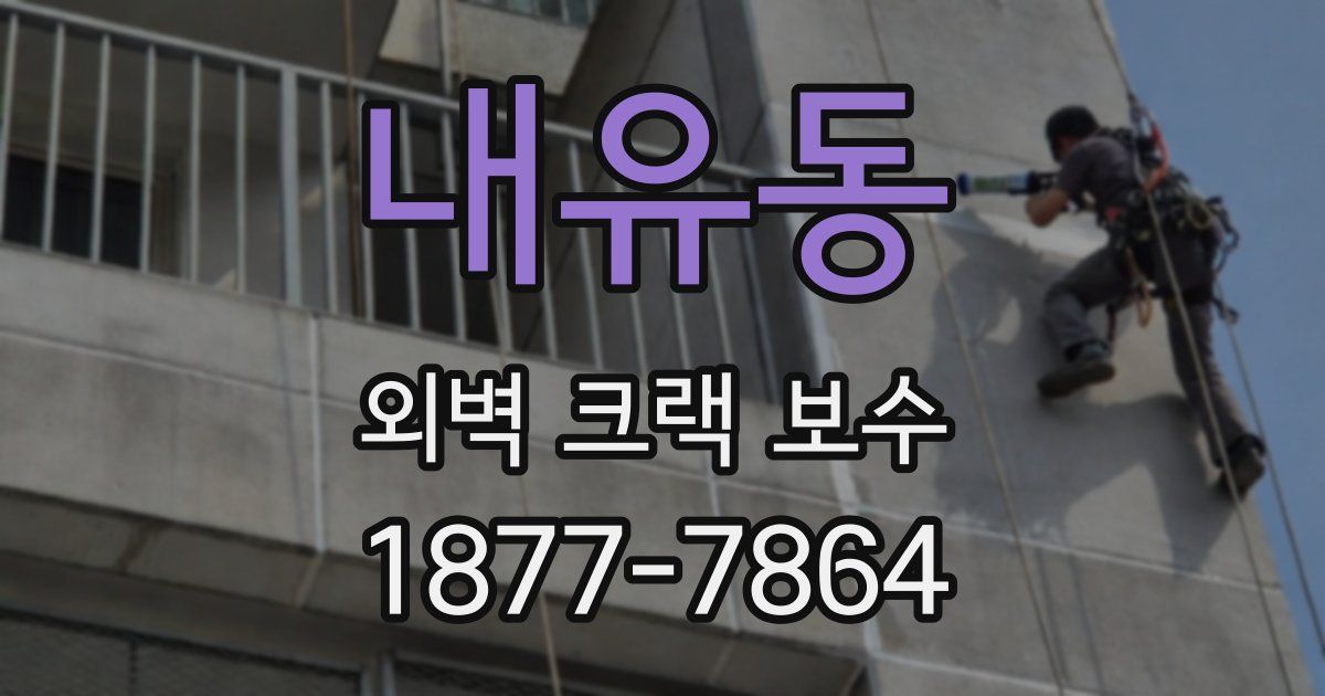 내유동 외벽 크랙 보수