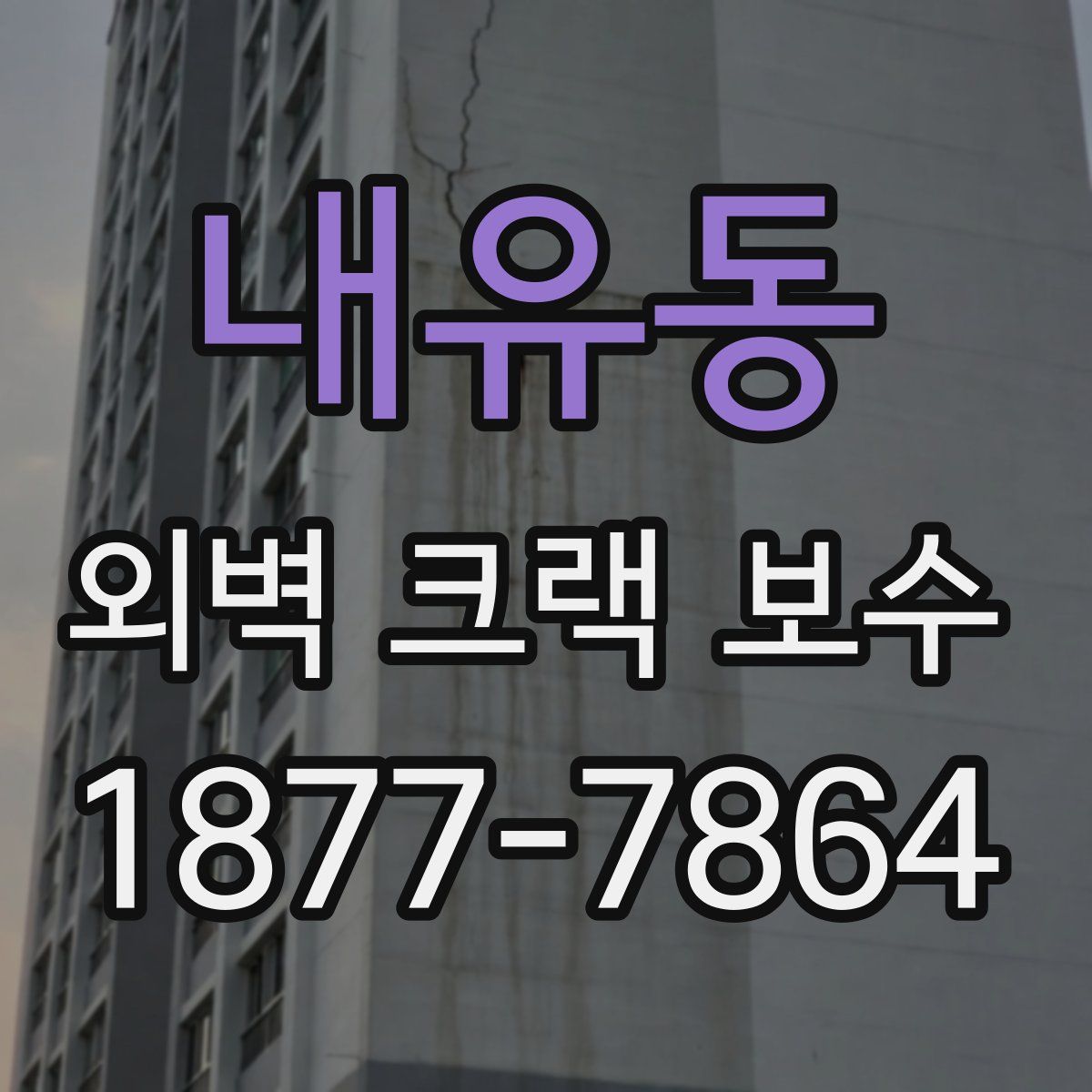 내유동 외벽 크랙 보수