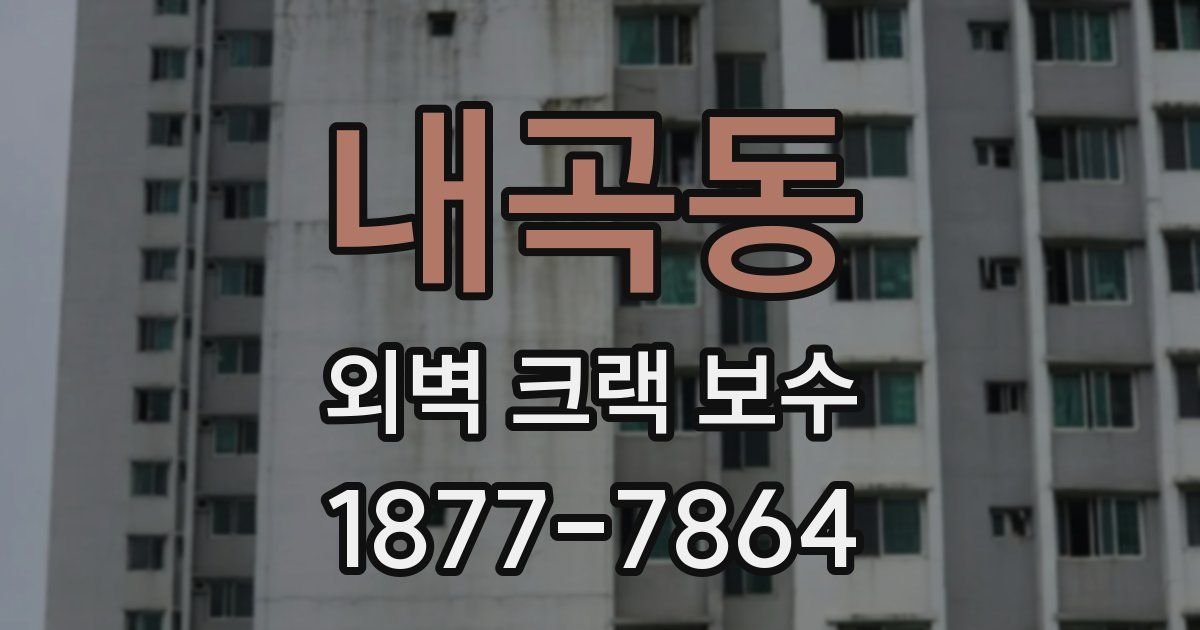 내곡동 외벽 크랙 보수