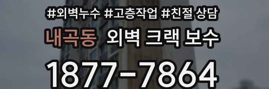 내곡동 외벽 크랙 보수