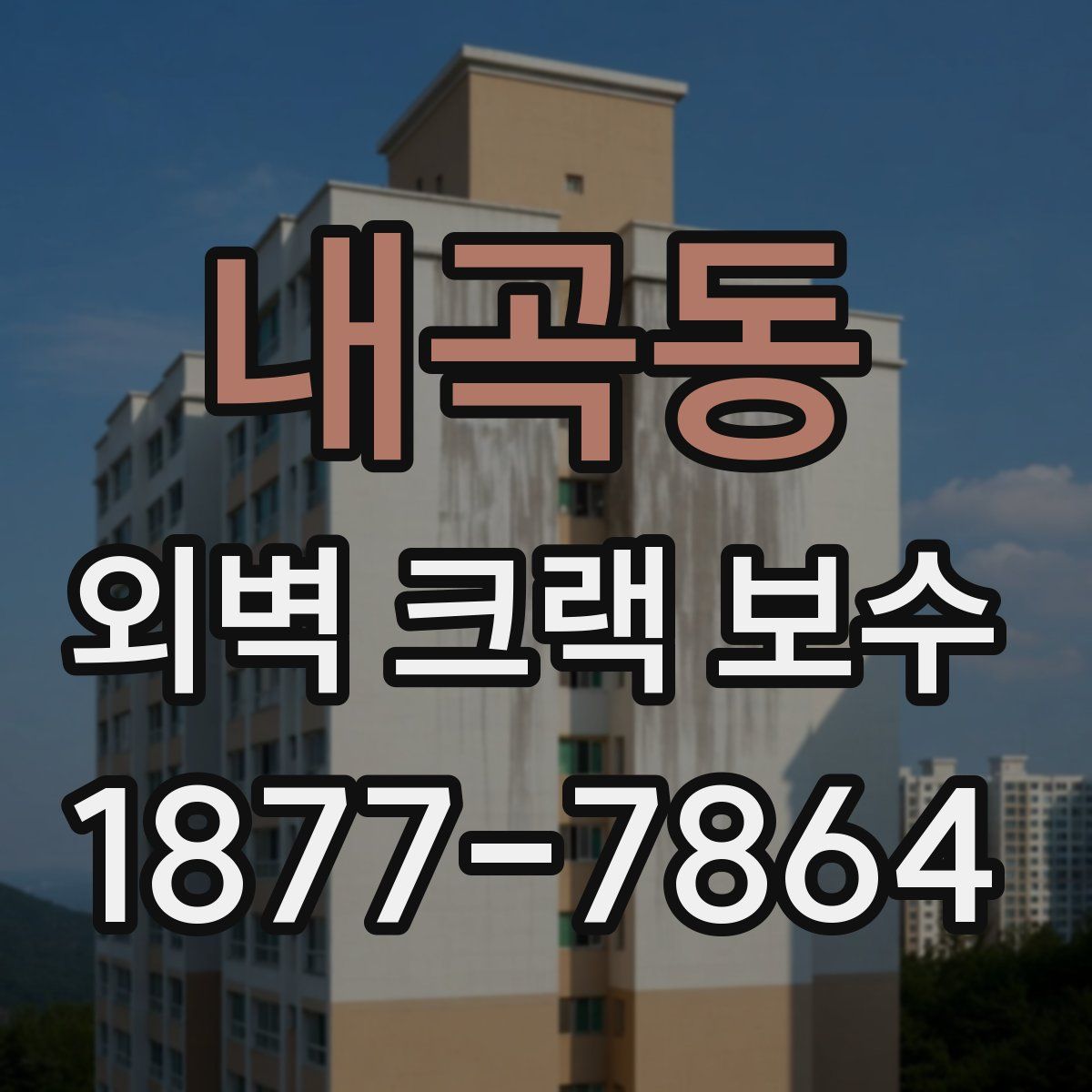 내곡동 외벽 크랙 보수