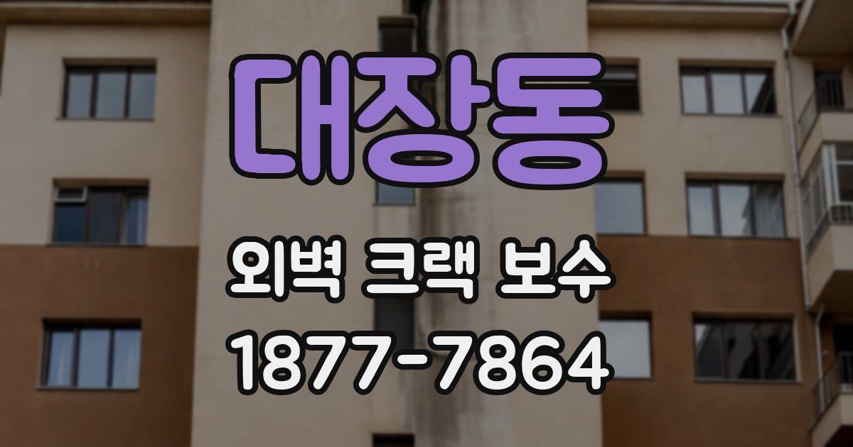대장동 외벽 크랙 보수