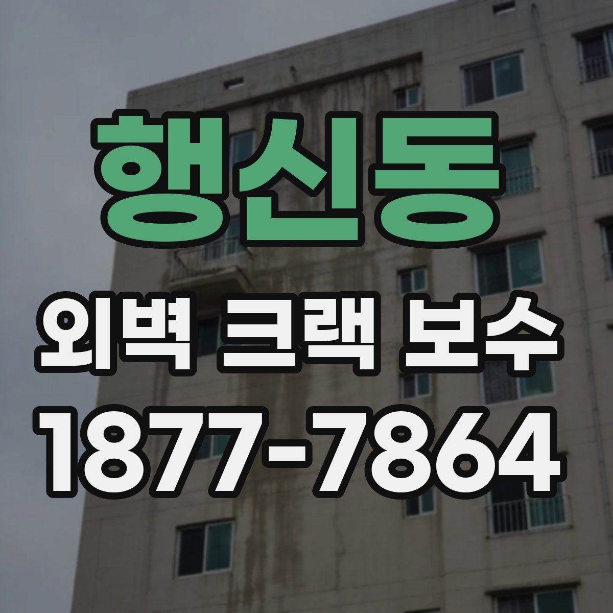 행신동 외벽 크랙 보수