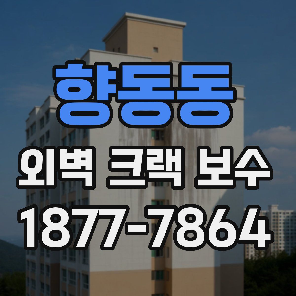 향동동 외벽 크랙 보수