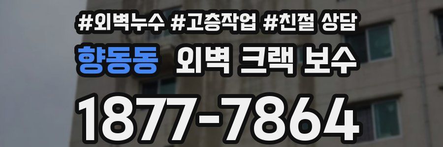 향동동 외벽 크랙 보수