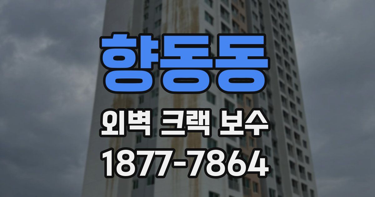 향동동 외벽 크랙 보수
