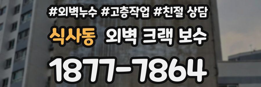 식사동 외벽 크랙 보수
