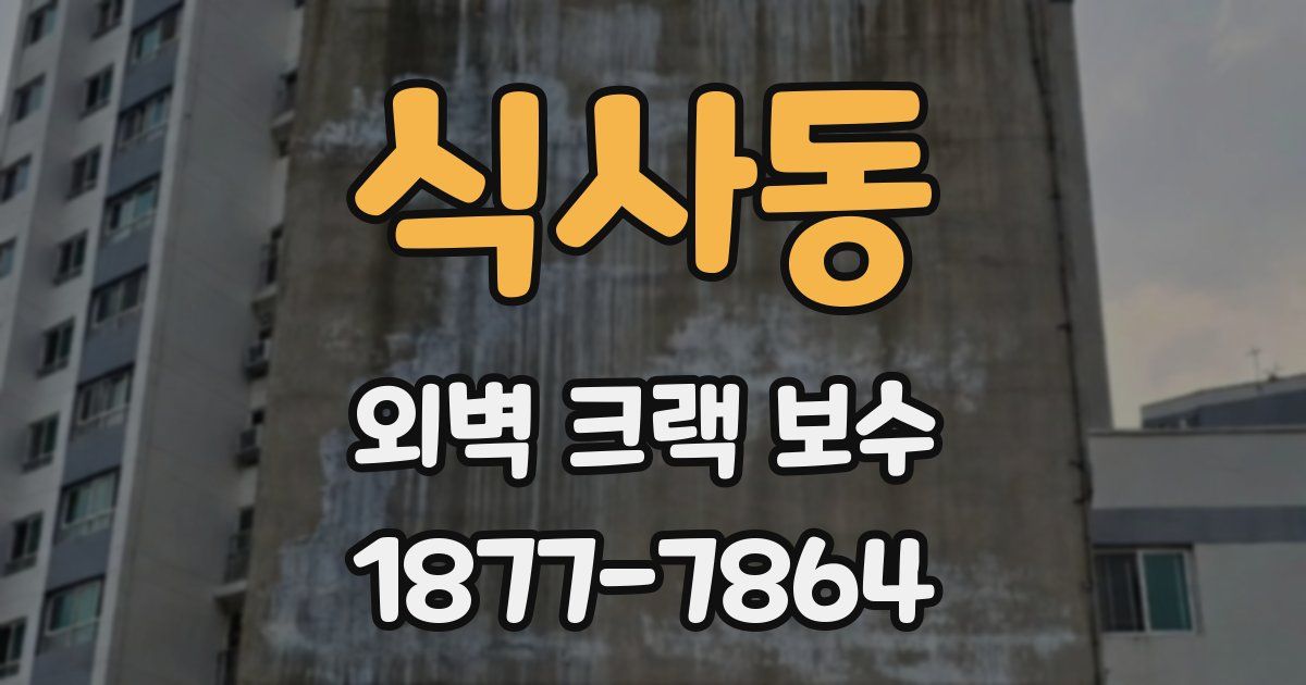 식사동 외벽 크랙 보수
