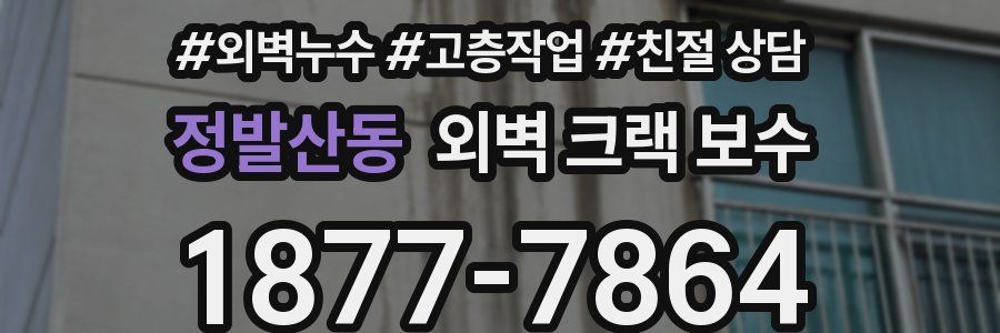 정발산동 외벽 크랙 보수