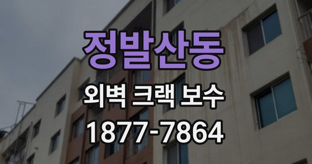 정발산동 외벽 크랙 보수