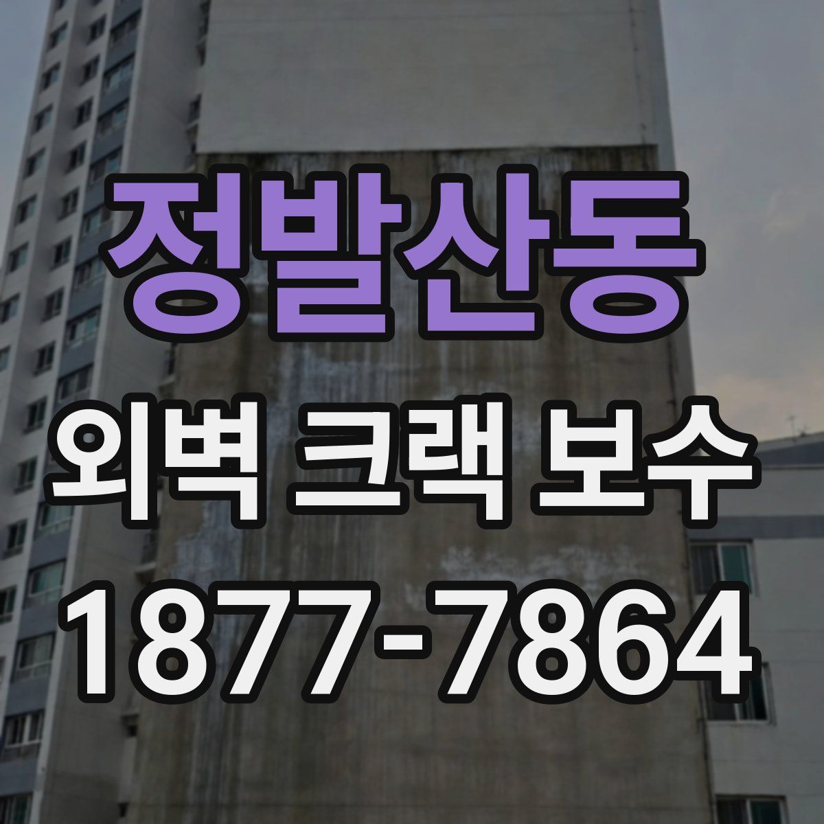 정발산동 외벽 크랙 보수