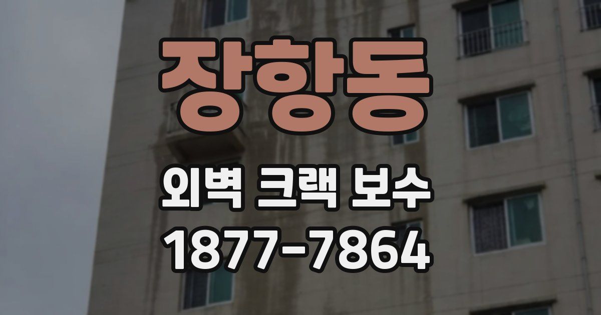 장항동 외벽 크랙 보수