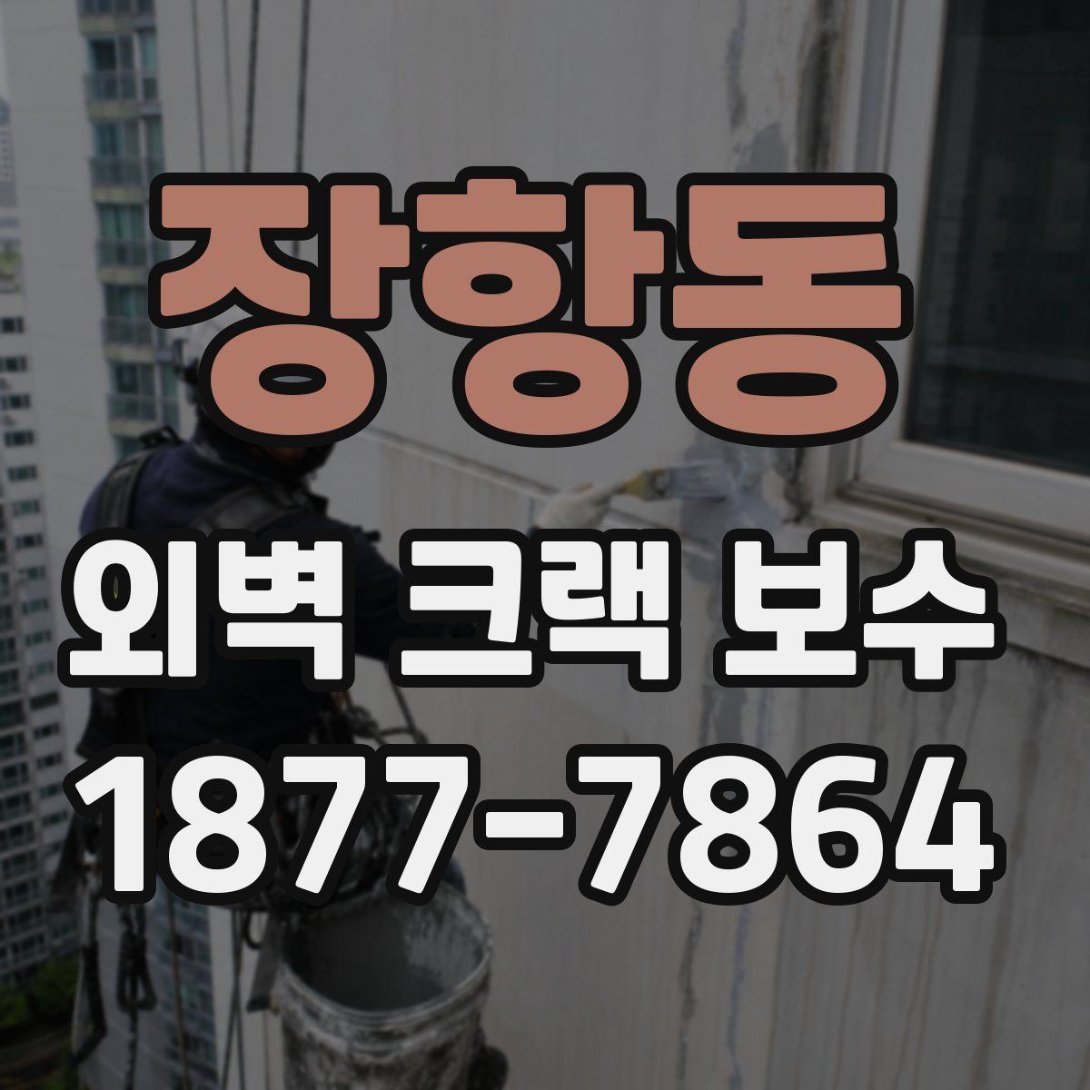 장항동 외벽 크랙 보수