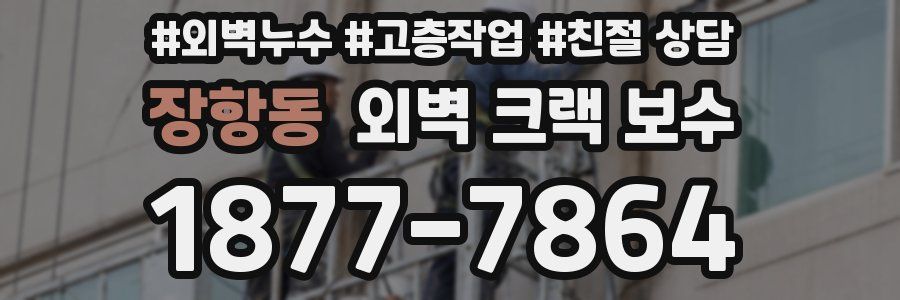장항동 외벽 크랙 보수