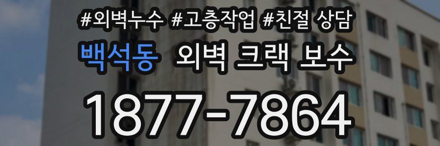 백석동 외벽 크랙 보수
