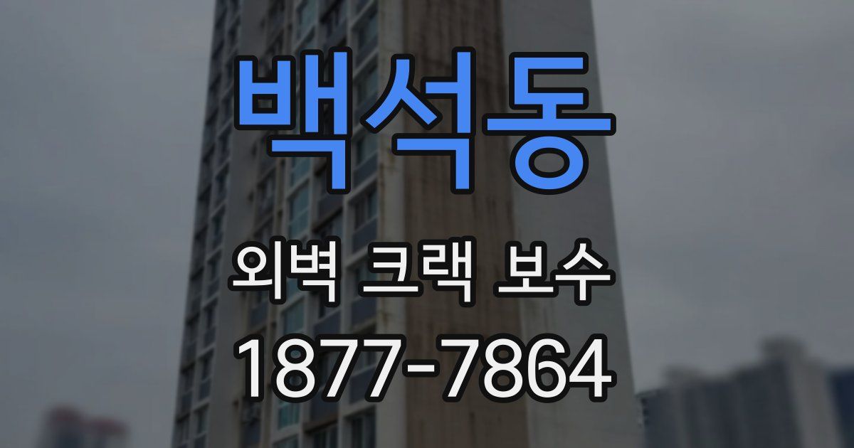 백석동 외벽 크랙 보수