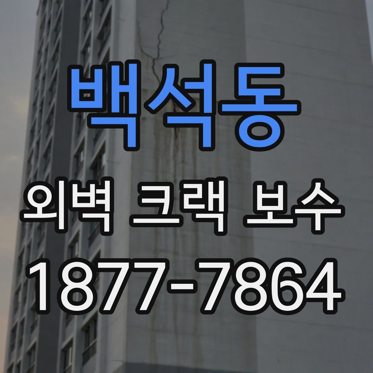 백석동 외벽 크랙 보수