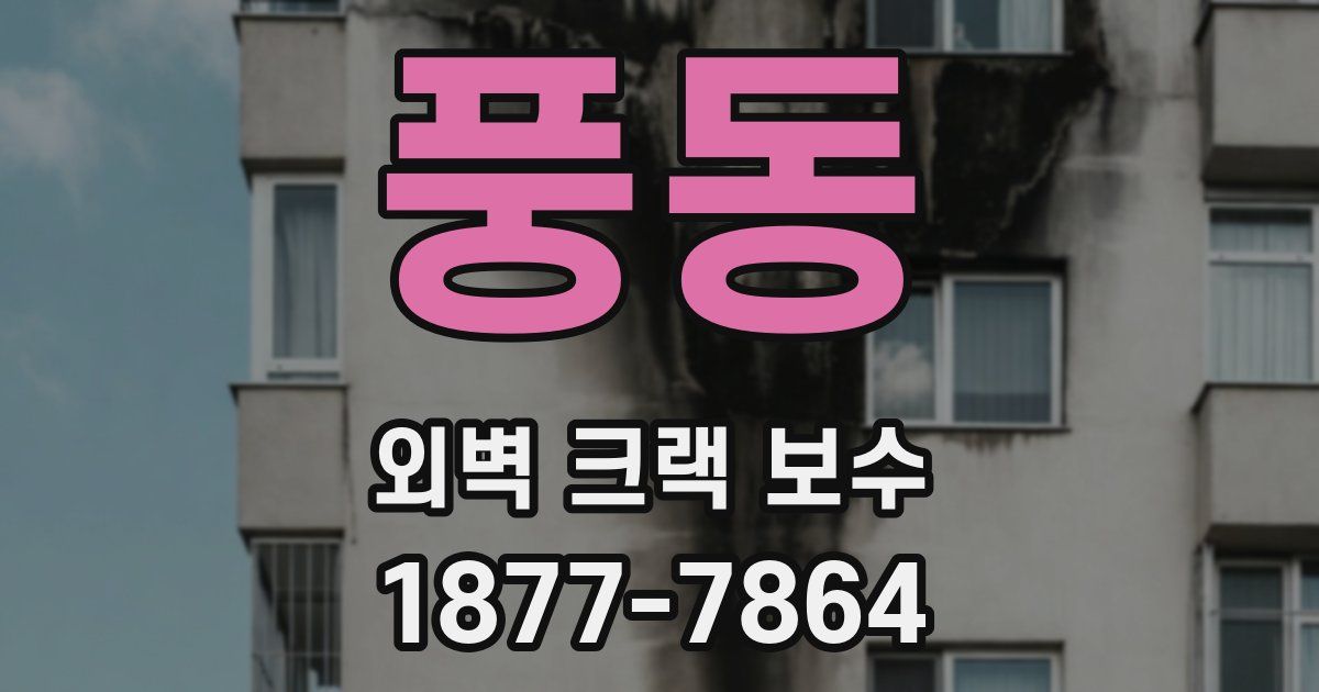 풍동 외벽 크랙 보수