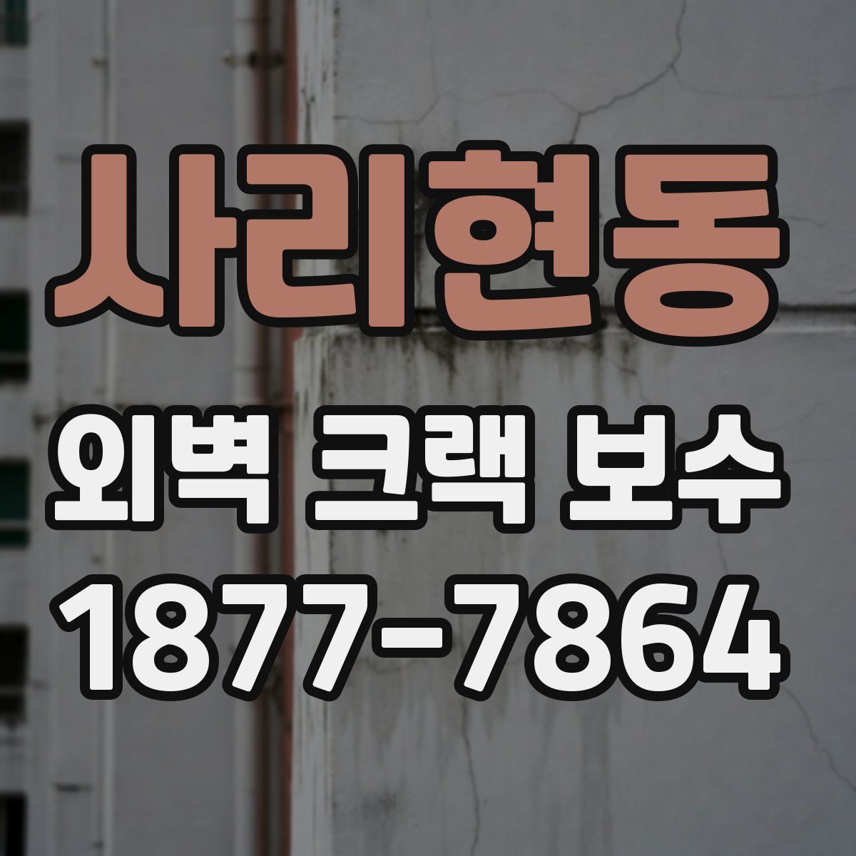 사리현동 외벽 크랙 보수