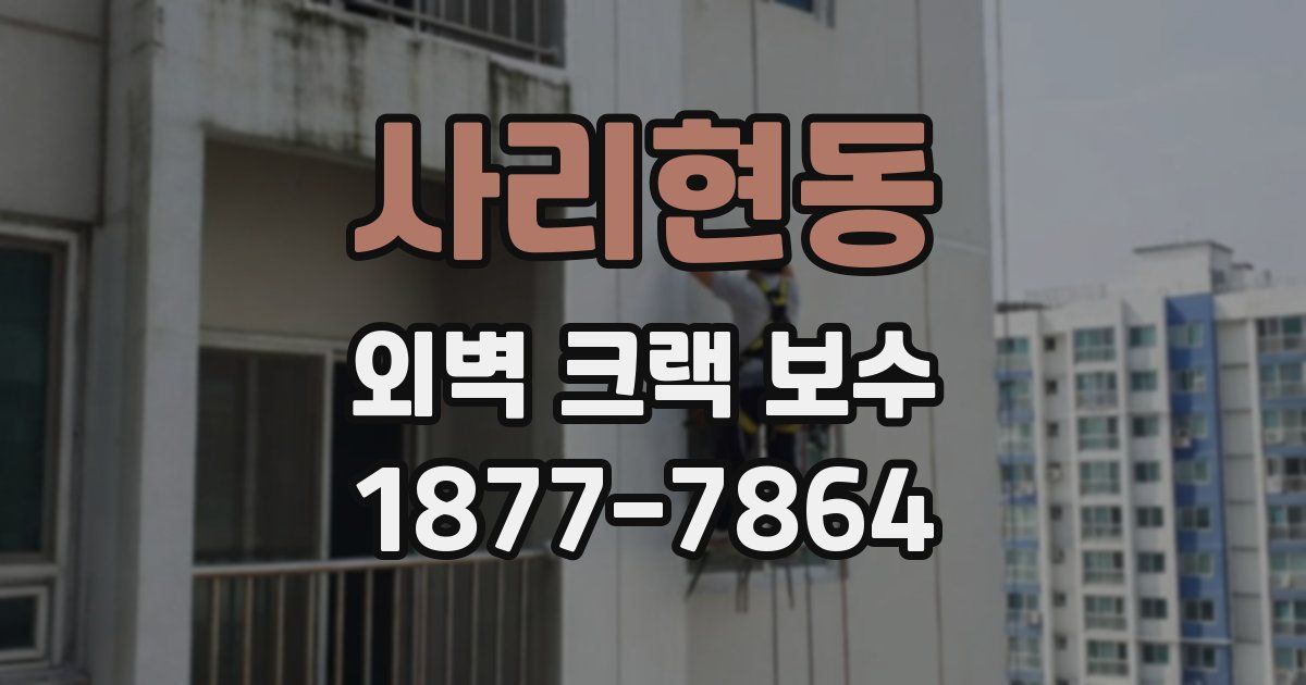 사리현동 외벽 크랙 보수