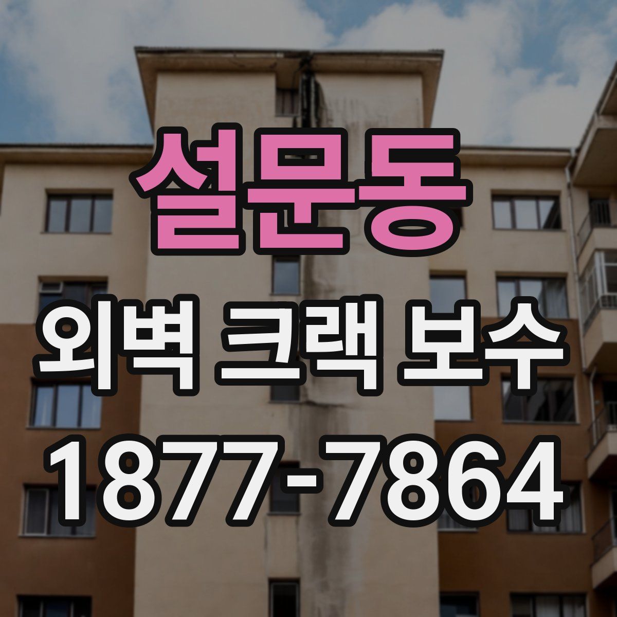 설문동 외벽 크랙 보수