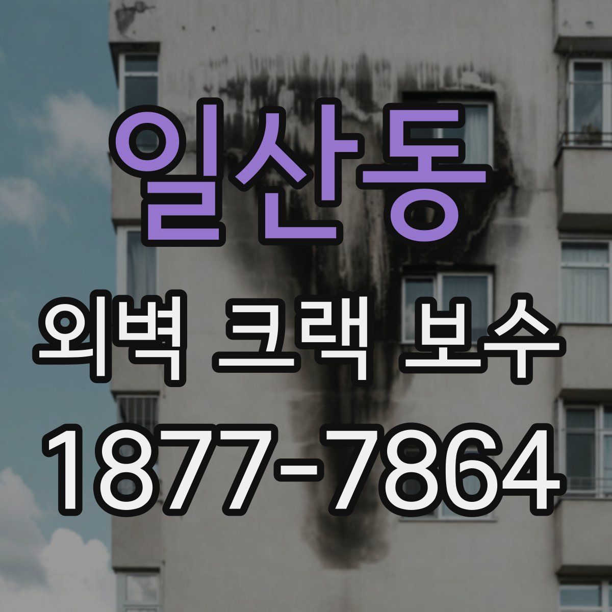 일산동 외벽 크랙 보수