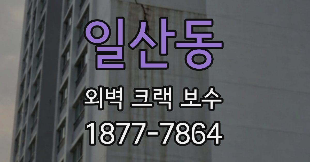 일산동 외벽 크랙 보수