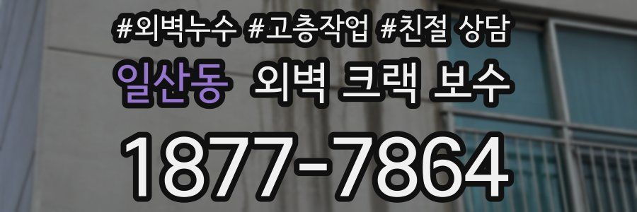 일산동 외벽 크랙 보수