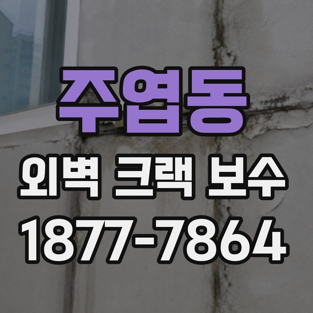 주엽동 외벽 크랙 보수
