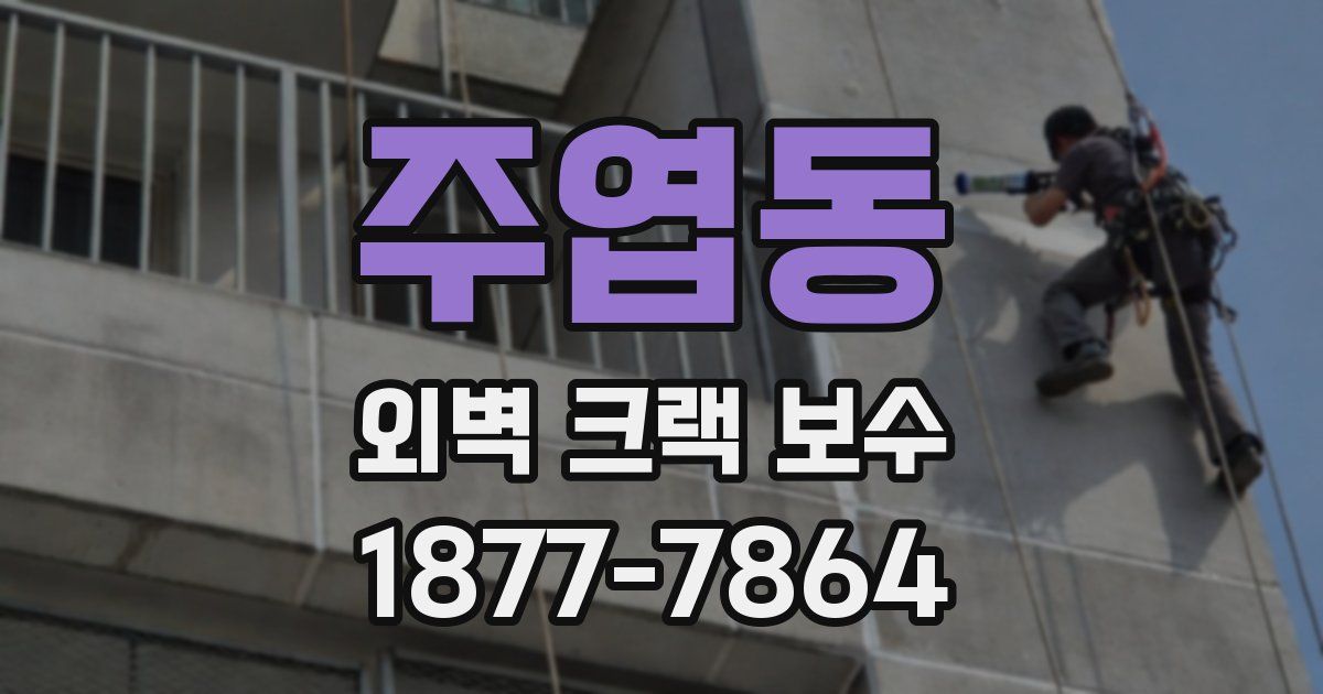 주엽동 외벽 크랙 보수