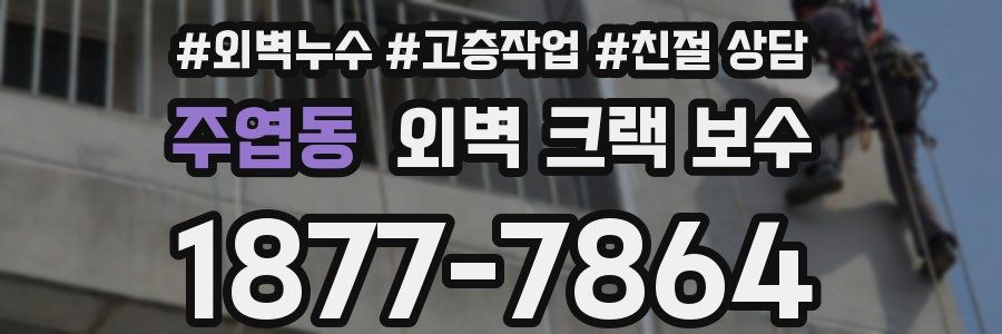 주엽동 외벽 크랙 보수