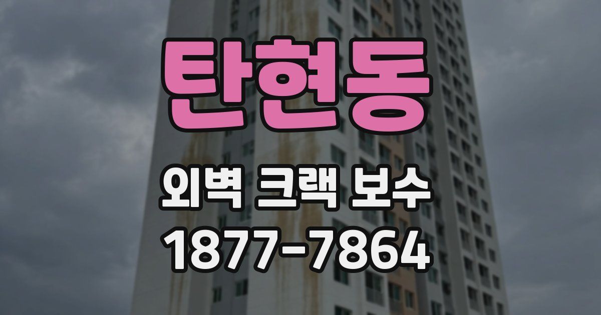 탄현동 외벽 크랙 보수