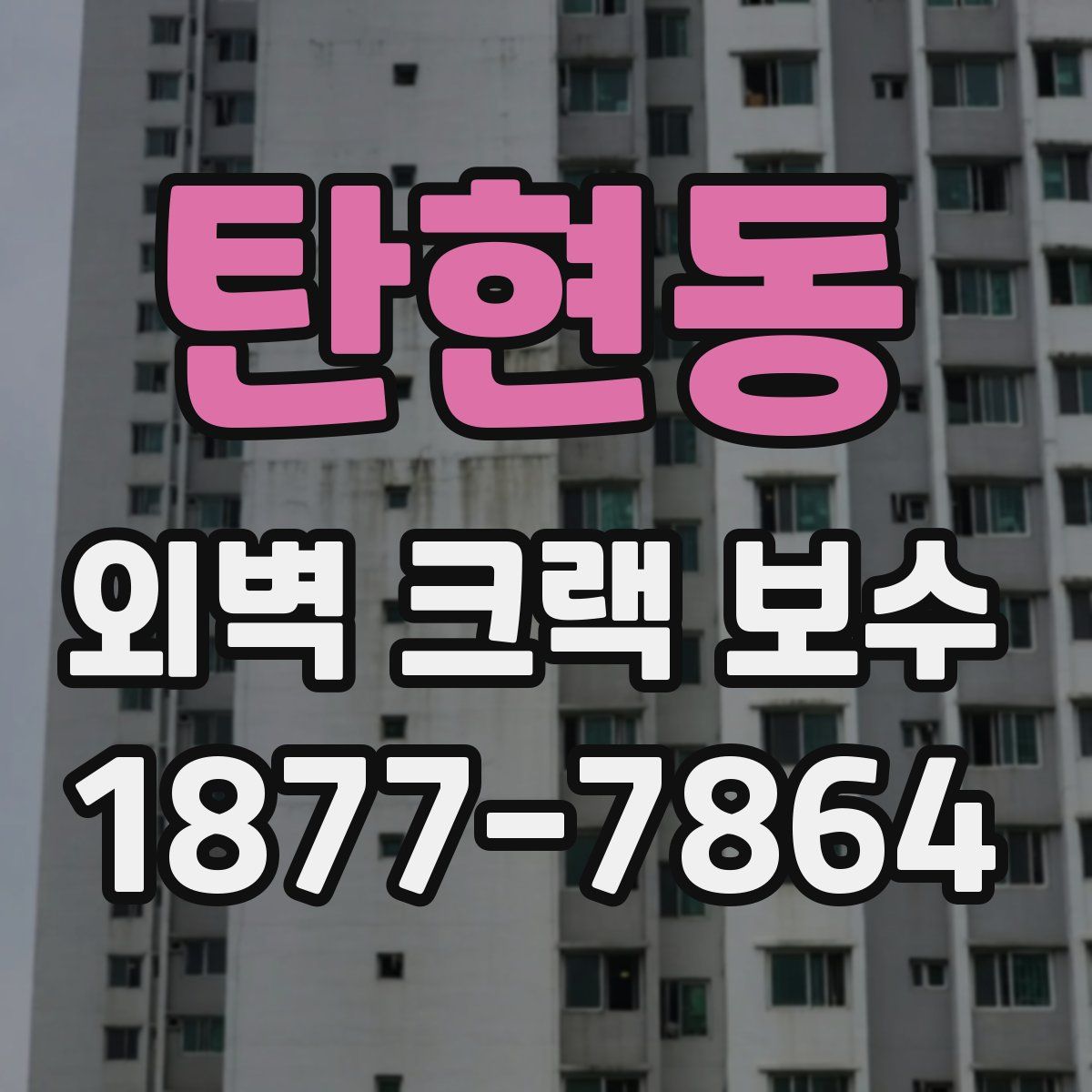 탄현동 외벽 크랙 보수