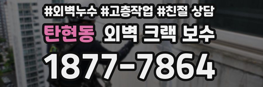 탄현동 외벽 크랙 보수