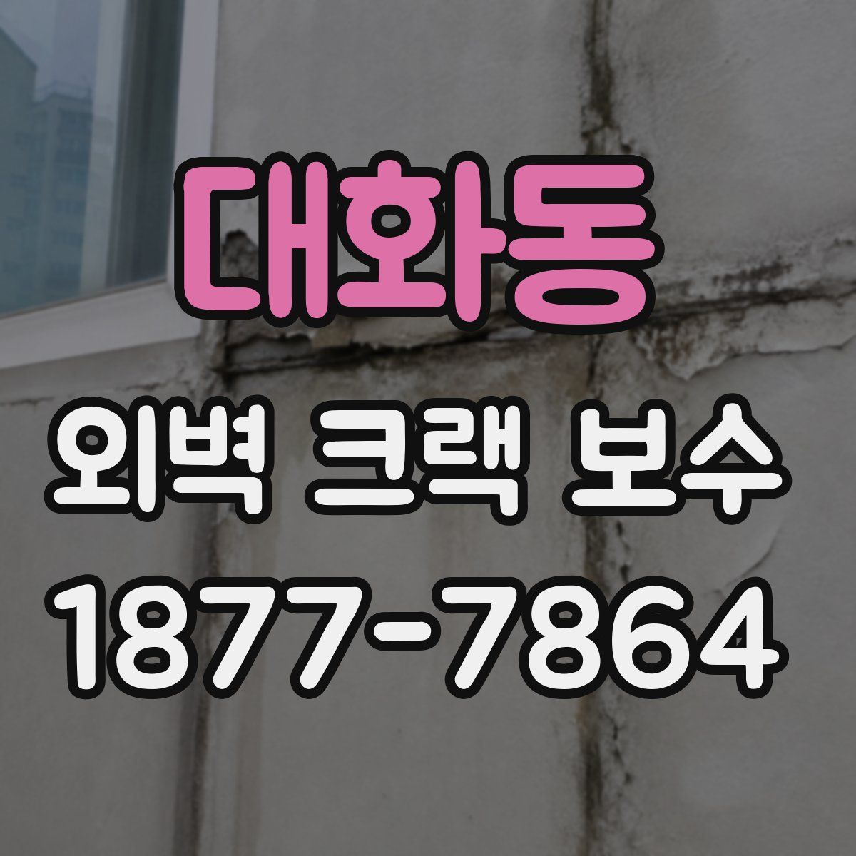 대화동 외벽 크랙 보수
