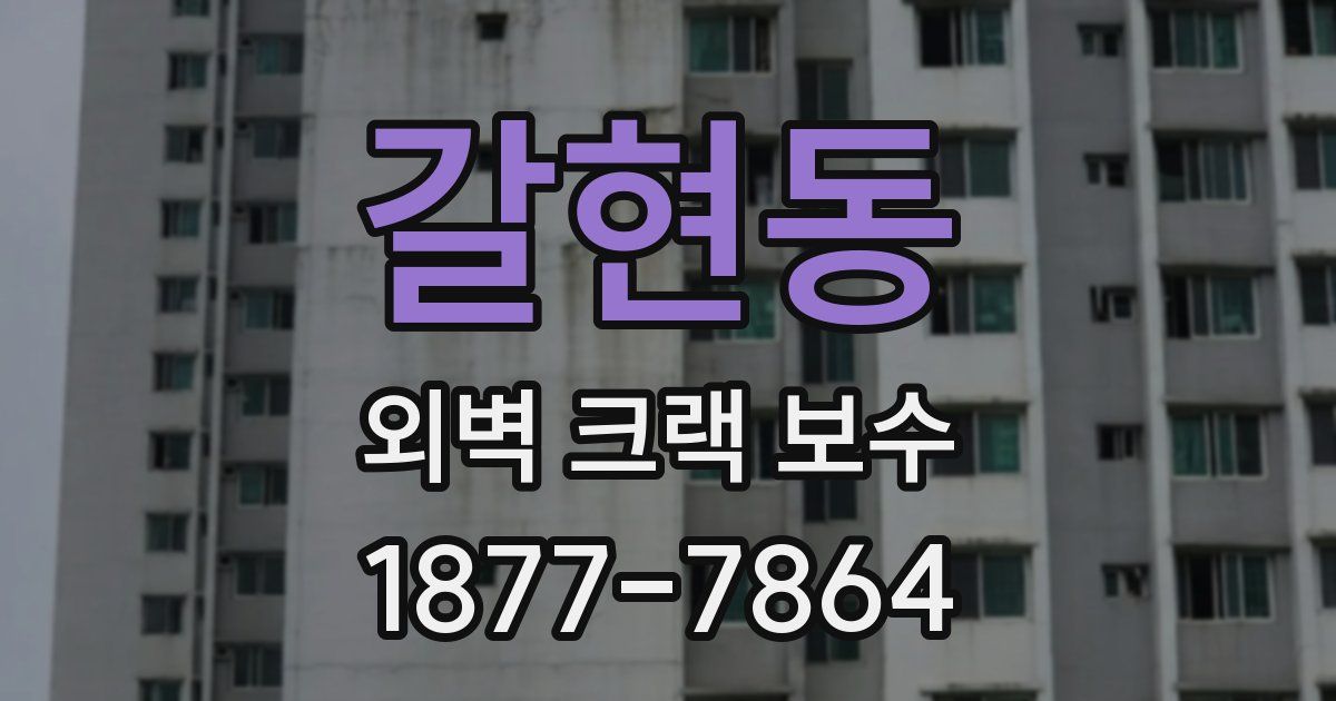 갈현동 외벽 크랙 보수