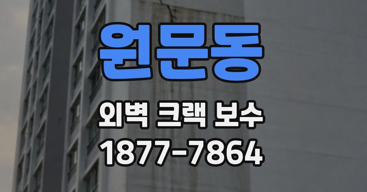 원문동 외벽 크랙 보수