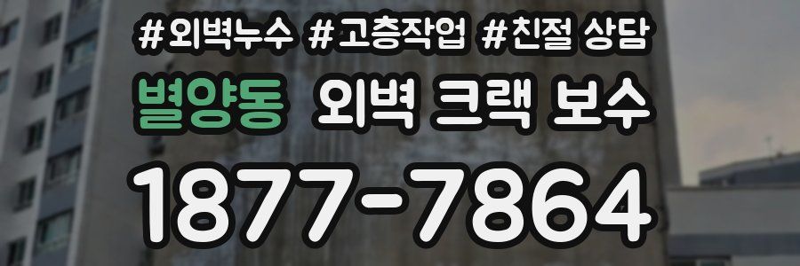 별양동 외벽 크랙 보수