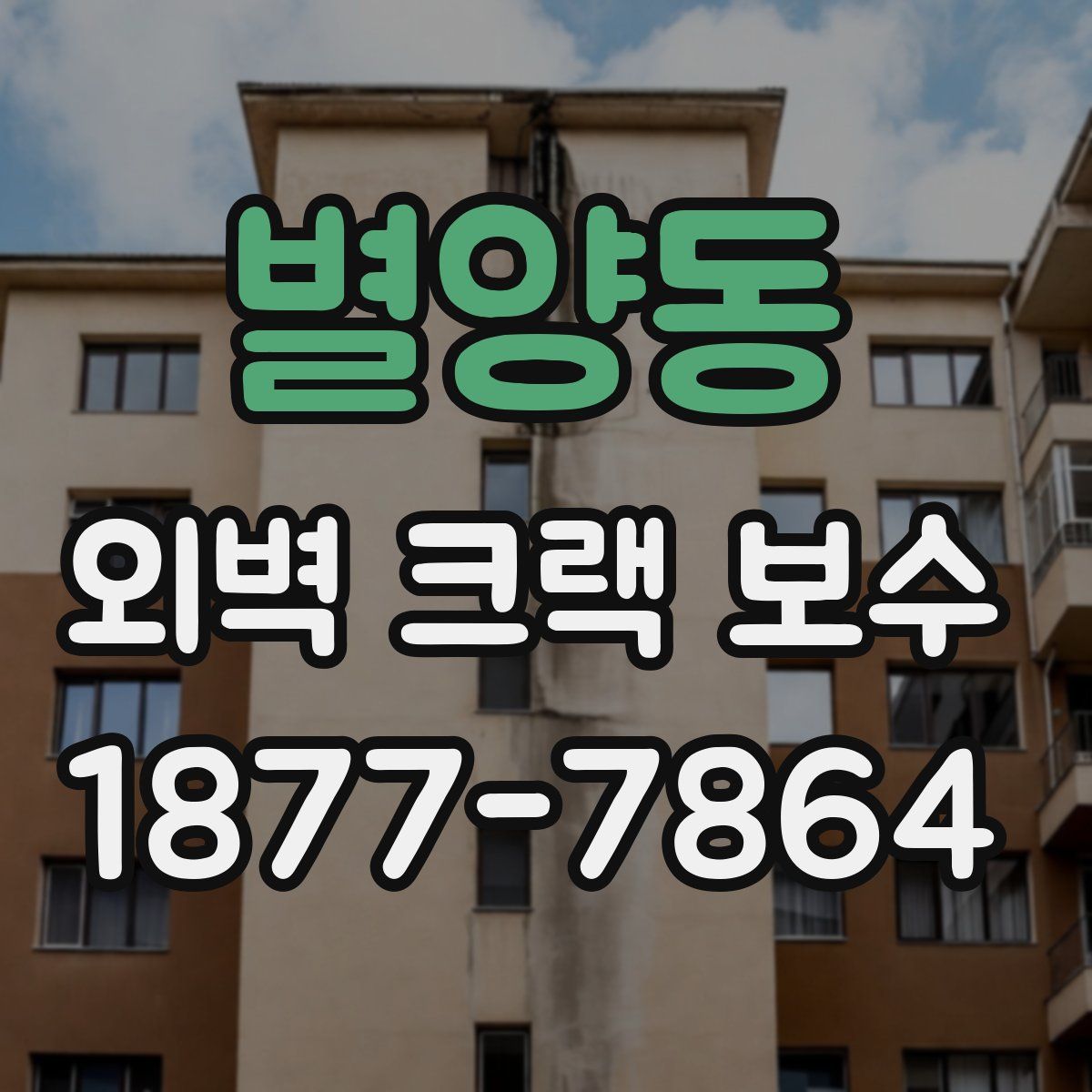 별양동 외벽 크랙 보수