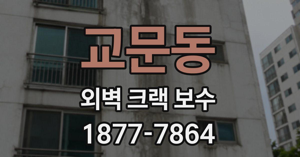 교문동 외벽 크랙 보수