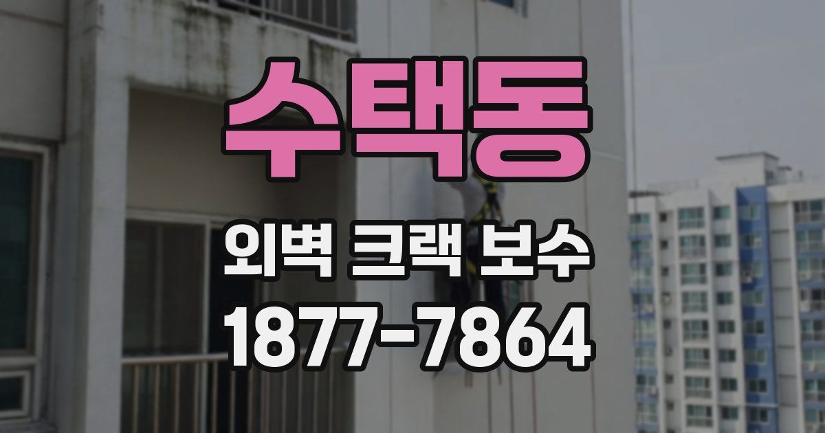 수택동 외벽 크랙 보수