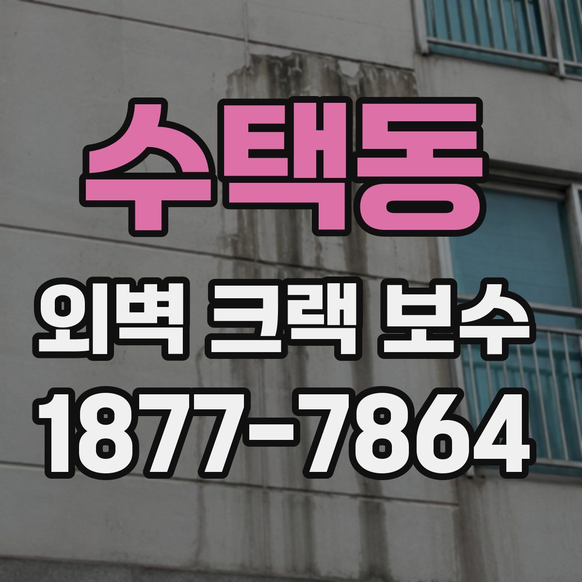 수택동 외벽 크랙 보수