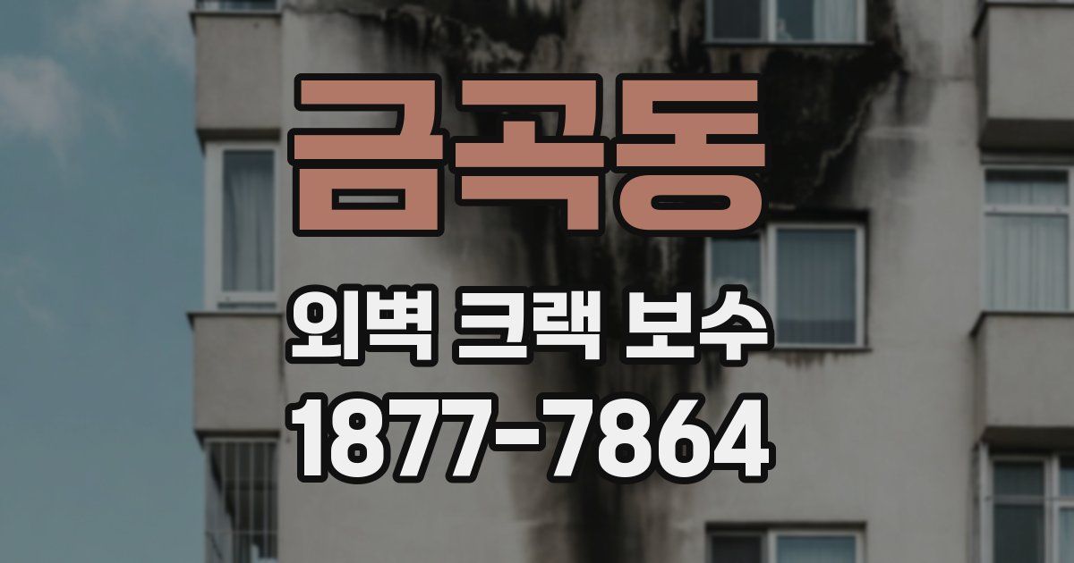 금곡동 외벽 크랙 보수