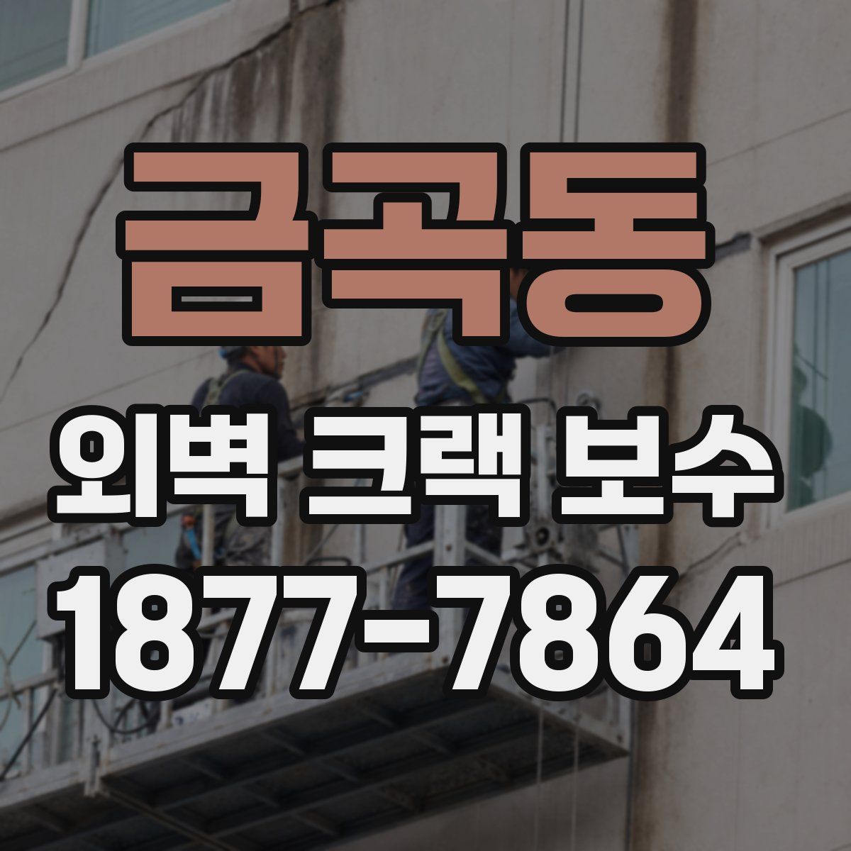 금곡동 외벽 크랙 보수