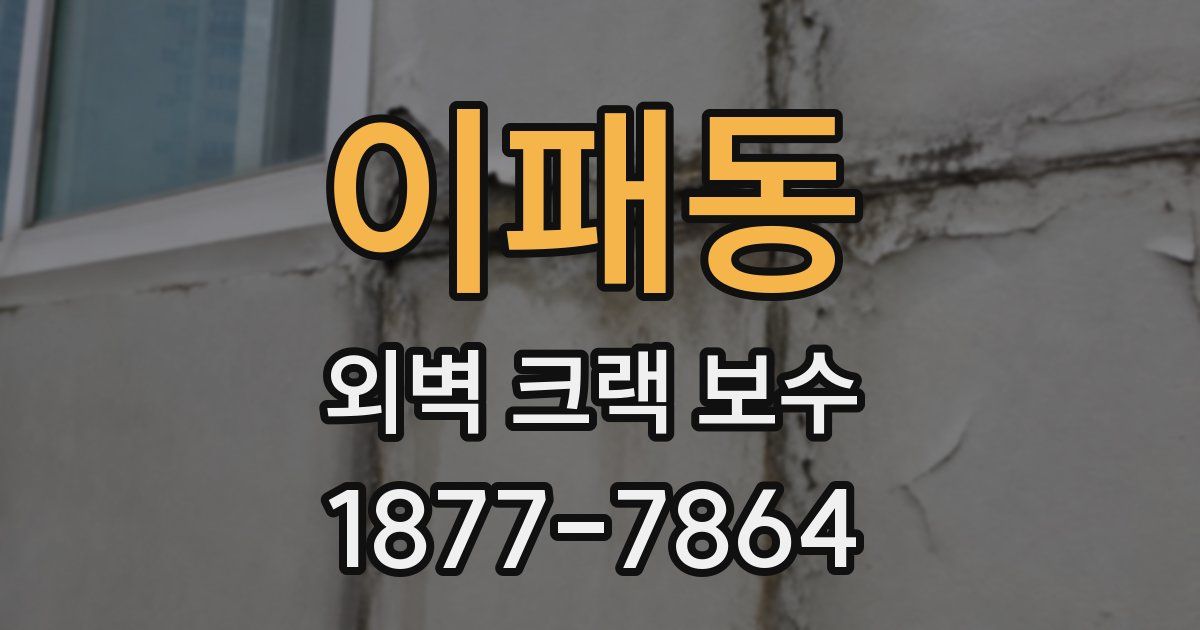 이패동 외벽 크랙 보수
