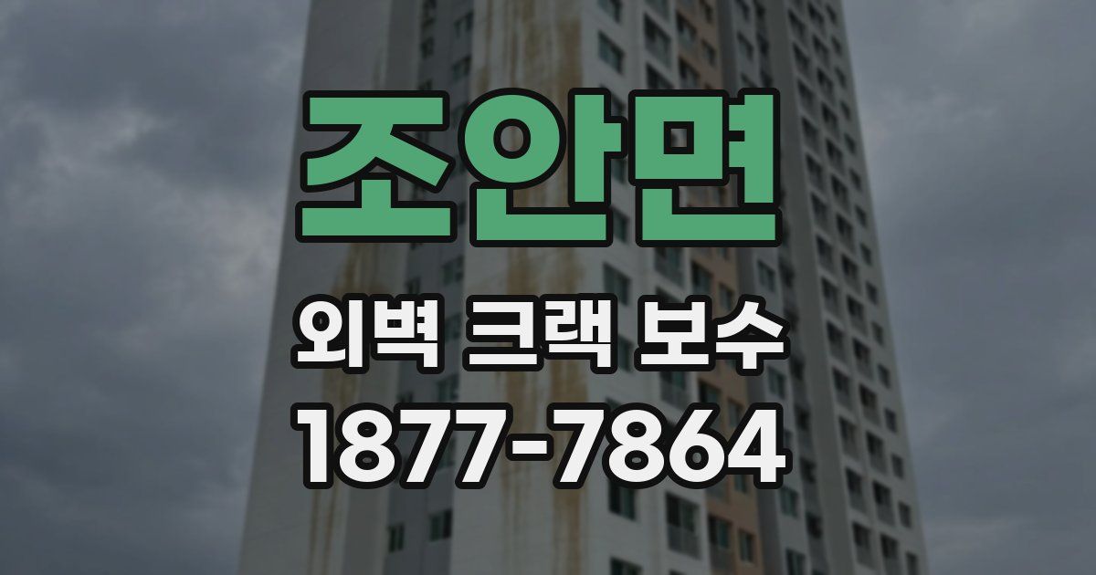 조안면 외벽 크랙 보수