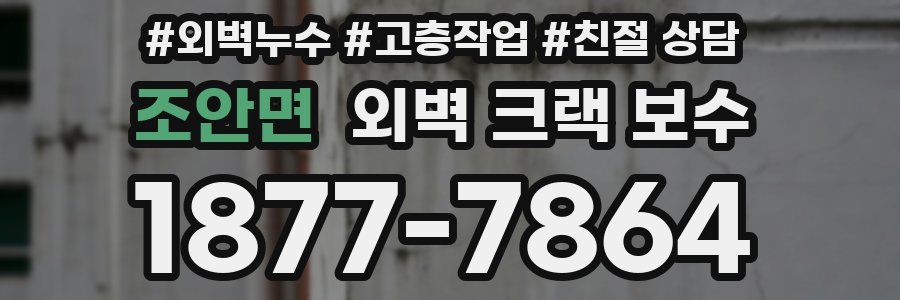 조안면 외벽 크랙 보수